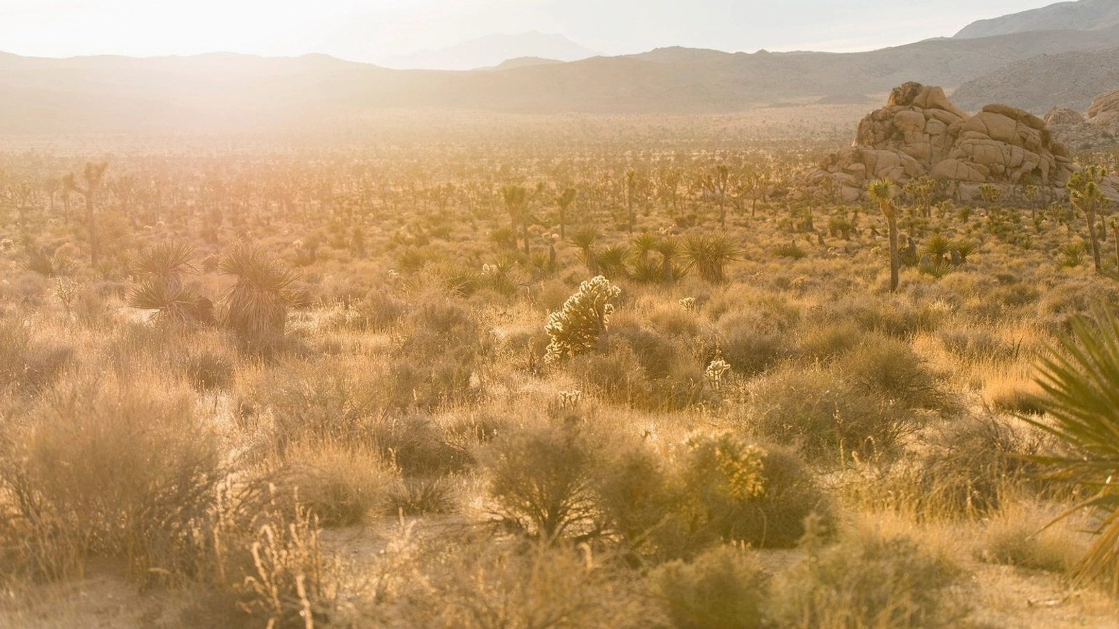 Open Arizona land access road near Pinal County