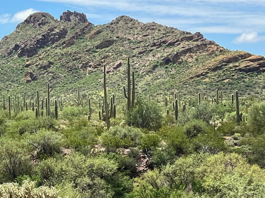 Desert Acreage in Pinal County