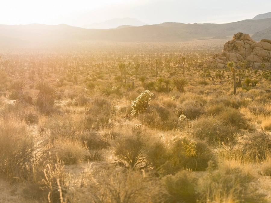Vacant Lots in Pinal County